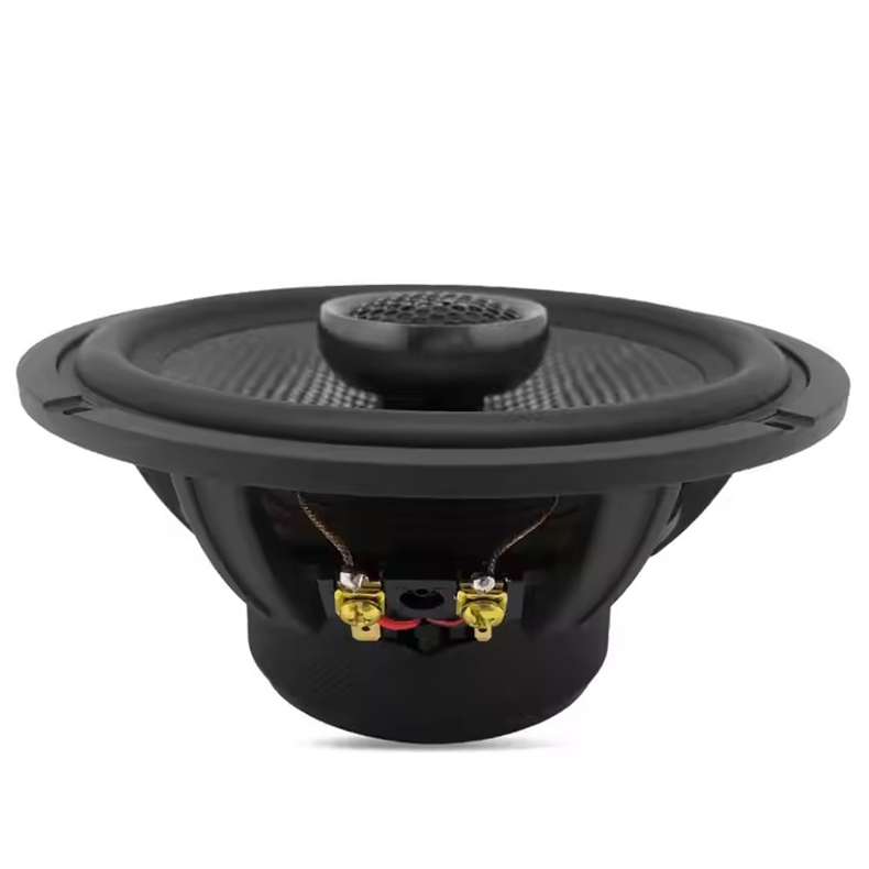 SpeakerZM-NK-601