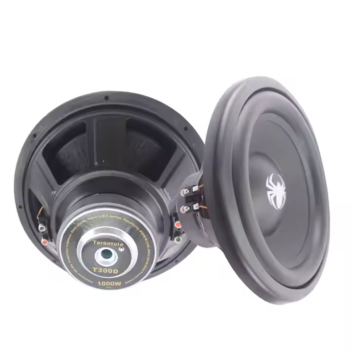 12-Inch Dual Coil Car Audio Subwoofer Universal 150W Subwoofer Speaker with DC 12V Voltage